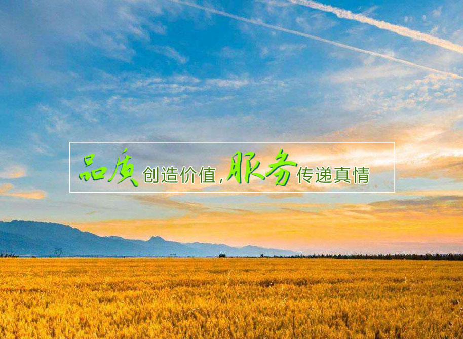 &ldquo;四個(gè)抓好&rdquo;讓農(nóng)機(jī)保障春耕生產(chǎn)